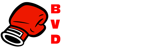 Boksvereniging Delfzijl